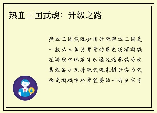 热血三国武魂：升级之路
