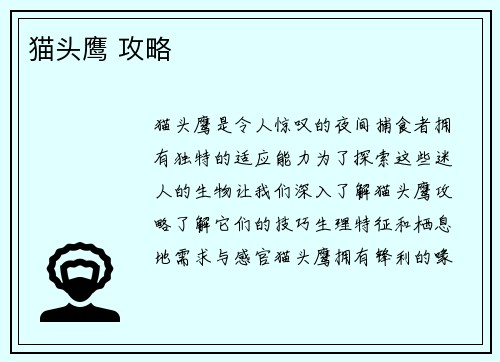 猫头鹰 攻略